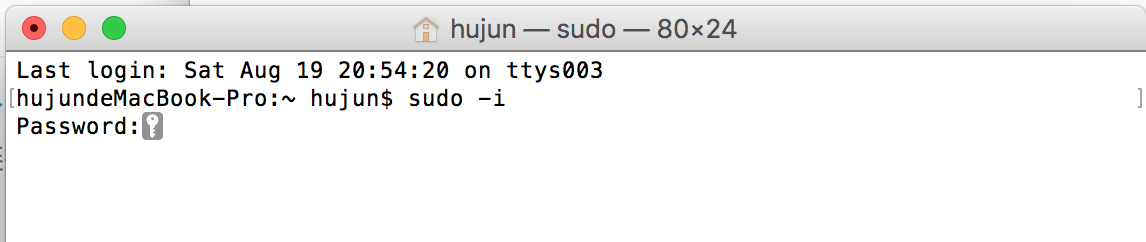 sudo -i